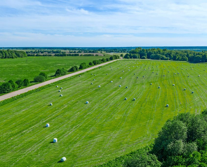 Rural,Landscape,Aerial,View,From,A,Height,Of,A,Field