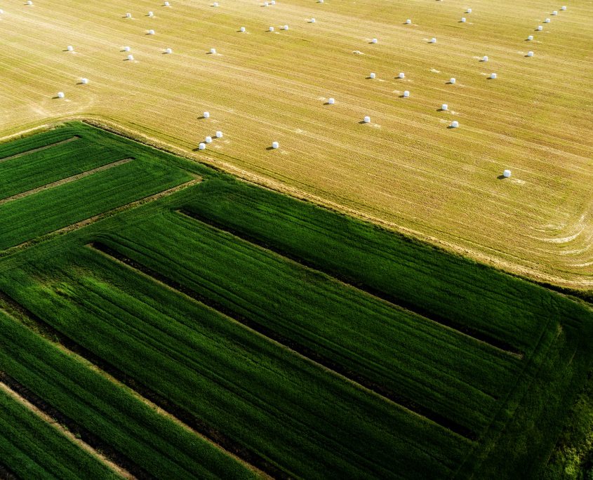 Aerial,View,Of,Large,Round,Bales,Of,Hay,On,A
