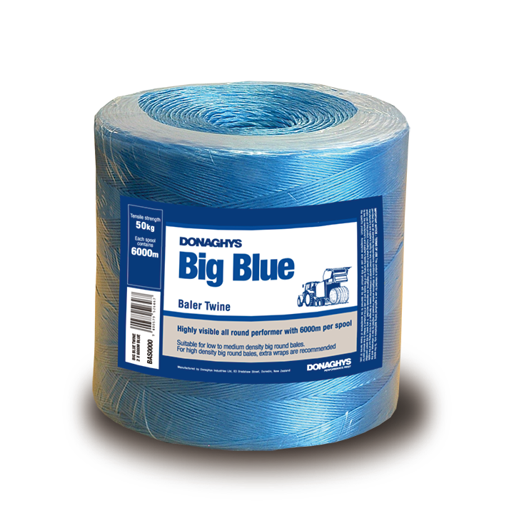Big Blue